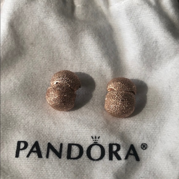 Rose Gold Matte Brilliance Clips - Picture 2 of 6